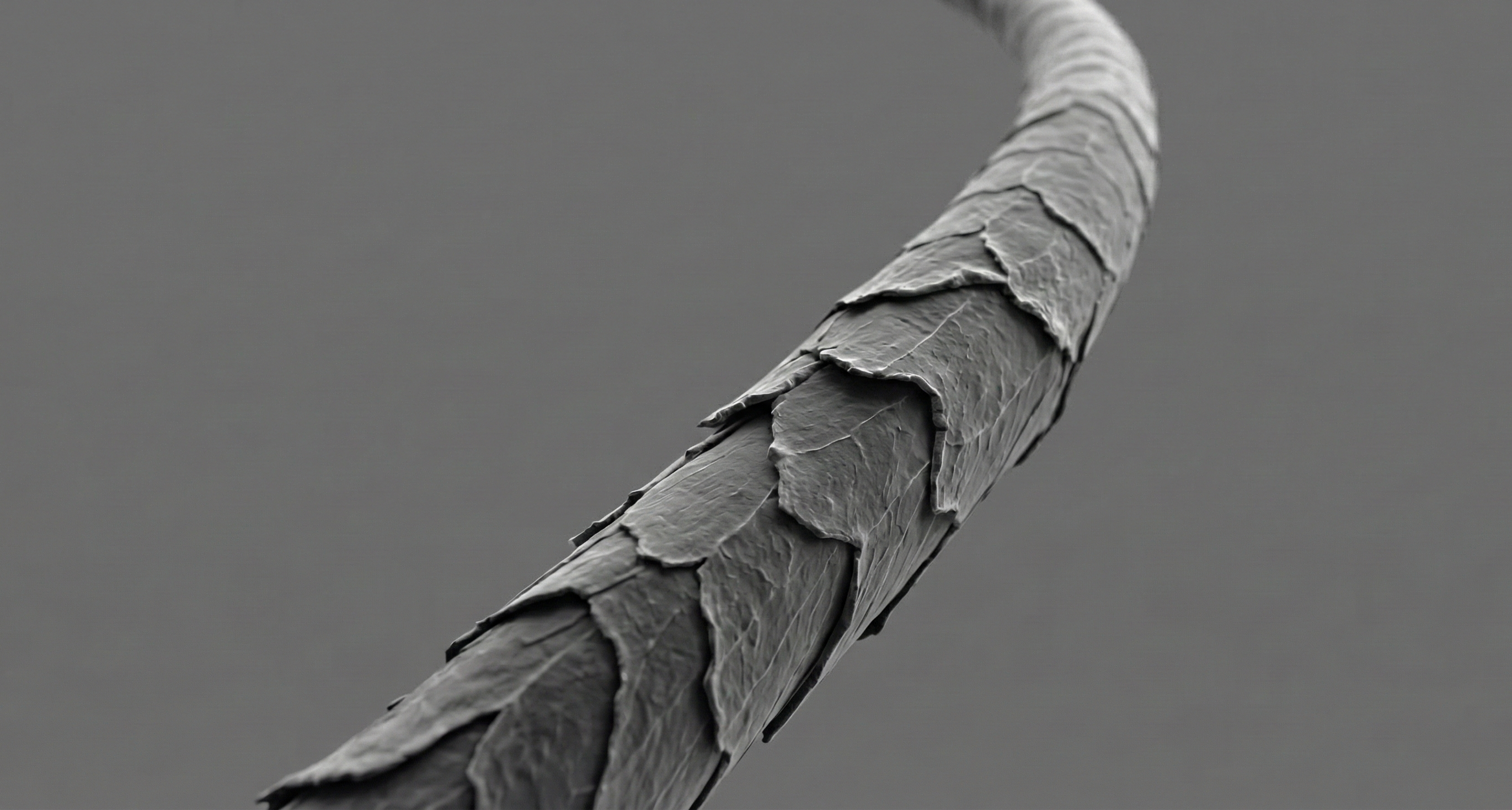 Illustration zu Ursachen der Haargesundheit